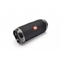 Портативная колонка TG 116
