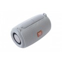 Колонка портативная T&G TG-533