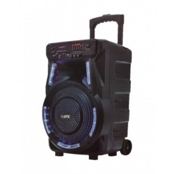 Колонка на аккумуляторе с микрофоном ZPX ZX-7773/80W (USB/Bluetooth/FM)