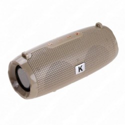 Р278 Портативная колонка K22