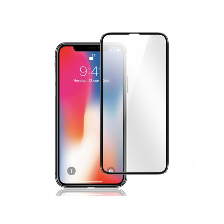 Р422 Стекло защитное (в пластиковом кейсе) iPhone X-XS Black